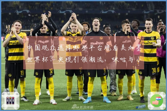中国观众选择哪些平台观看美加墨世界杯？央视引领潮流，咪咕与小红书积极参与